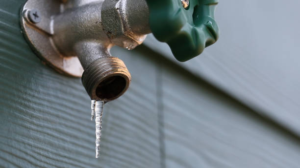 Best Commercial Plumbing Services  in Fern Park, FL